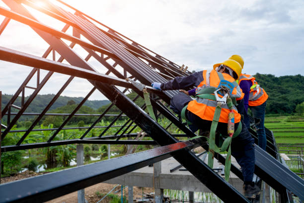 Best Affordable Roofing Company  in Wyoming, IL