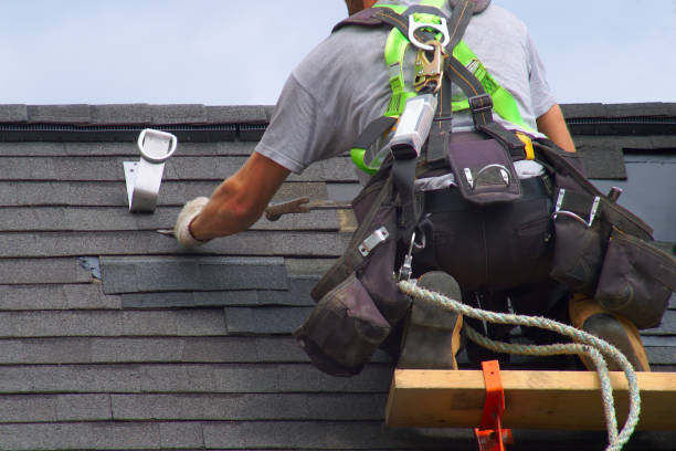 Best Flat Roof Repair Services  in Wyoming, IL